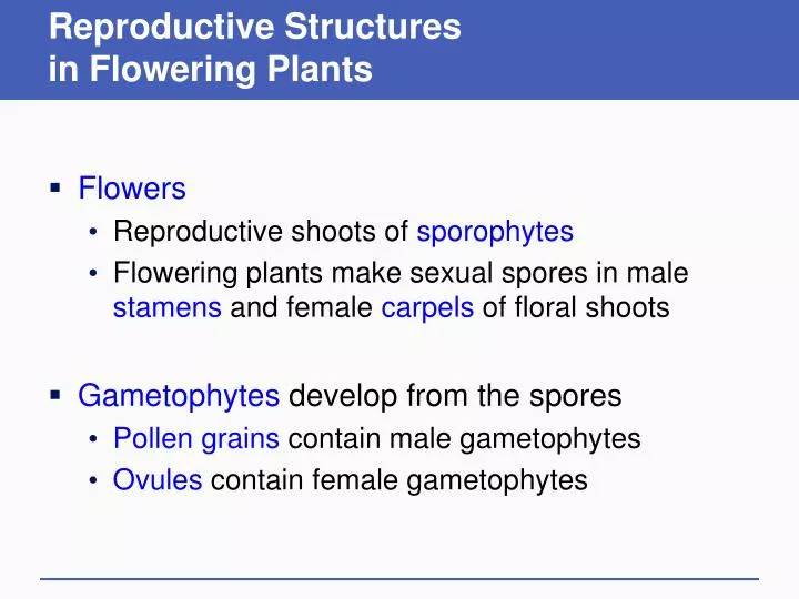 reproductive structures in flowering plants
