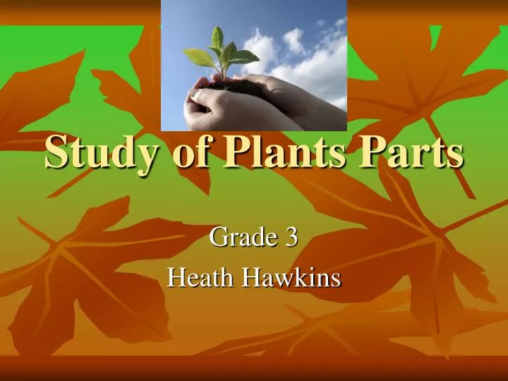 study of plants parts