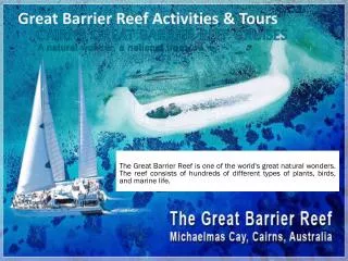 Great Barrier Reef Activities And Tours