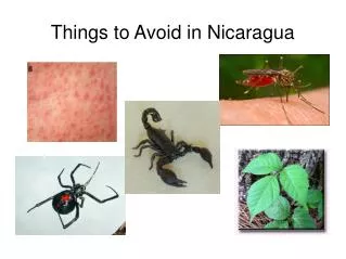 Things to Avoid in Nicaragua