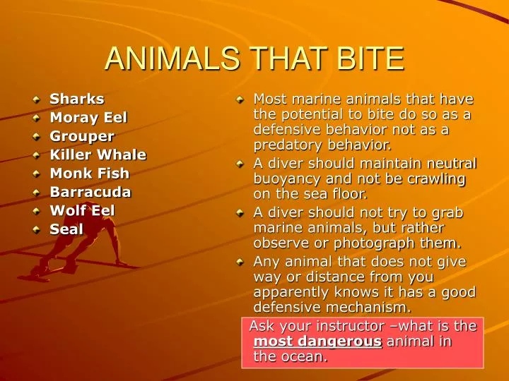 animals that bite