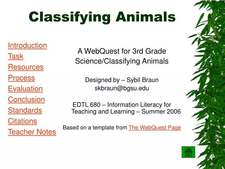 classifying animals