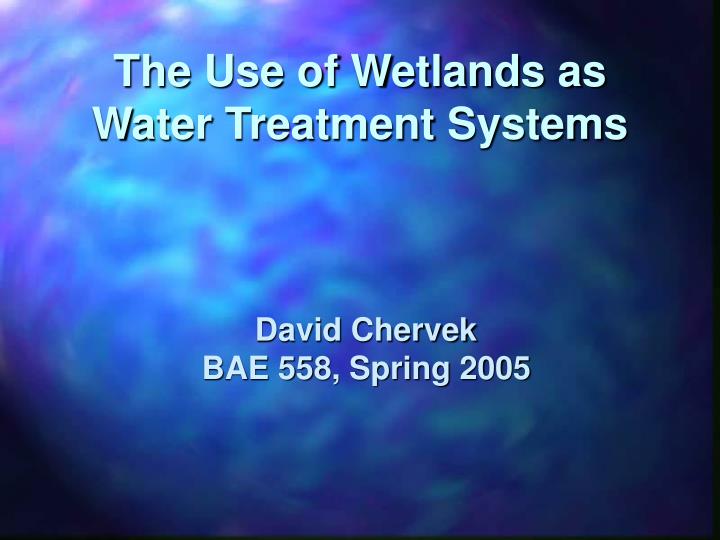 the use of wetlands as water treatment systems