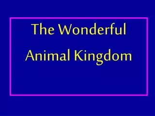 The Wonderful Animal Kingdom