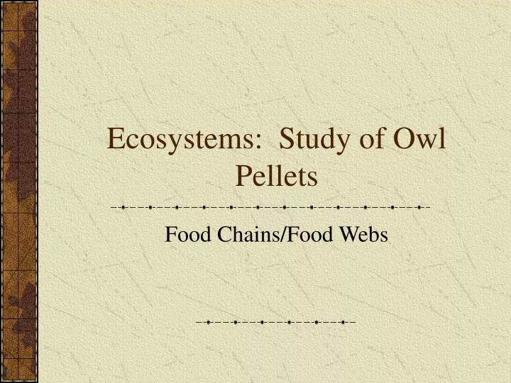 ecosystems study of owl pellets