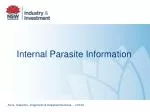 Internal Parasite Information