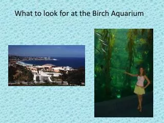 What to look for at the Birch Aquarium