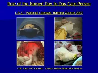 Role of the Named Day to Day Care Person L.A.S.T National Licensee Training Course 2007