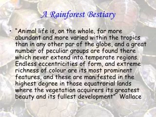 A Rainforest Bestiary