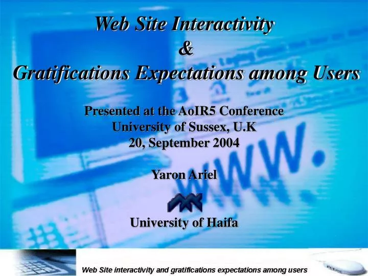 web site interactivity gratifications expectations among users