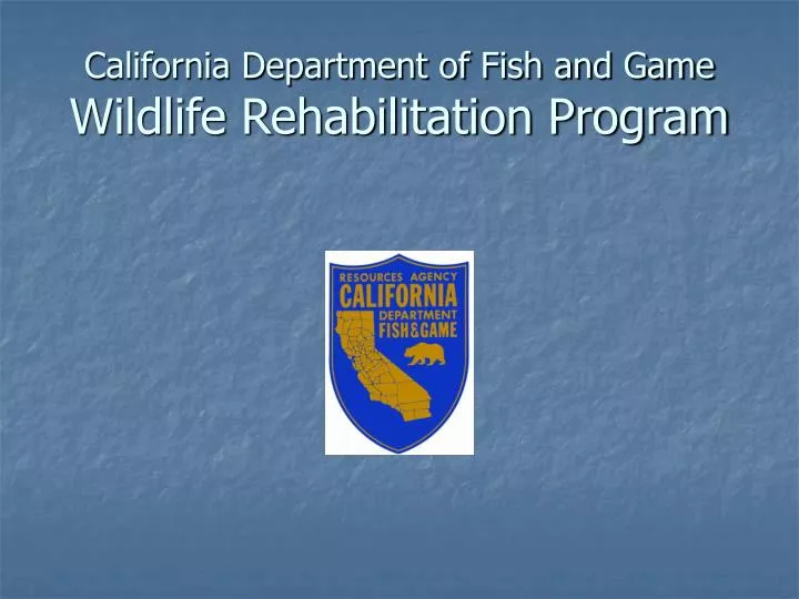 california department of fish and game wildlife rehabilitation program
