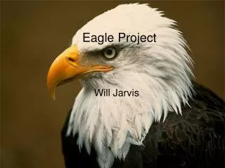 William Jarvis's Eagle Project