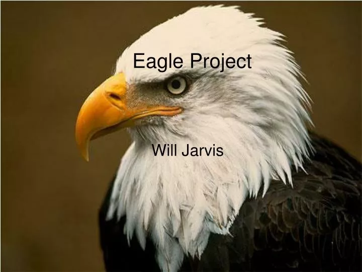 eagle project will jarvis