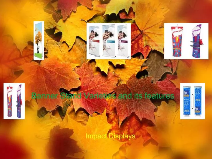 banner stand varieties and its features