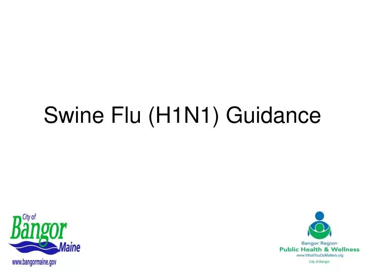 swine flu h1n1 guidance