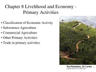 Chapter 8 Livelihood and Economy - Primary Activities