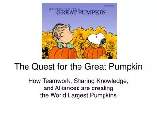 The Quest for the Great Pumpkin