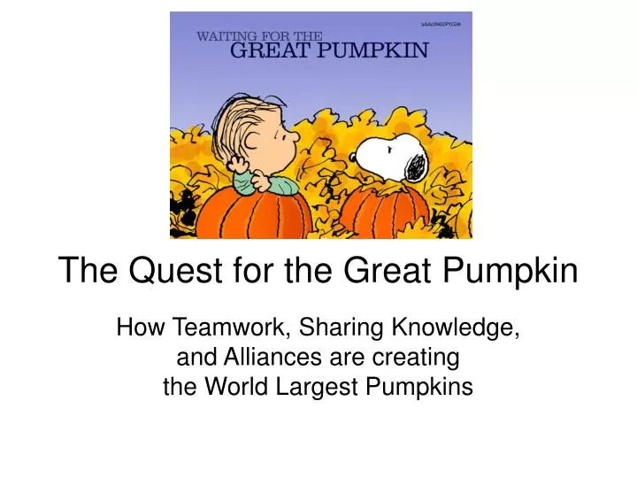 the quest for the great pumpkin