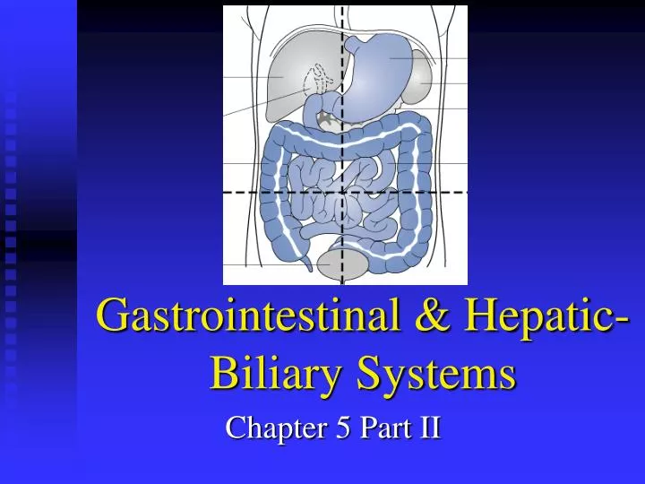 gastrointestinal hepatic biliary systems