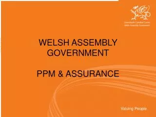 WELSH ASSEMBLY GOVERNMENT PPM &amp; ASSURANCE