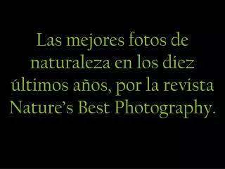Las mejores fotos de naturaleza en los diez últimos años, por la revista Nature’s Best Photography.