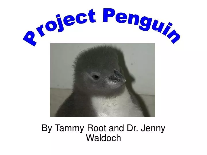 by tammy root and dr jenny waldoch