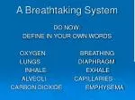 A Breathtaking System - slide 1