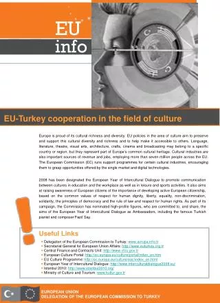 EUROPEAN UNION DELEGATION OF THE EUROPEAN COMMISSION TO TURKEY