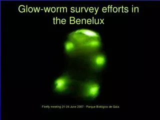 Glow-worm survey efforts in the Benelux
