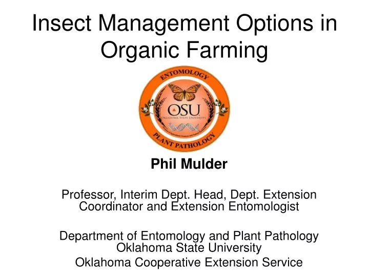 insect management options in organic farming