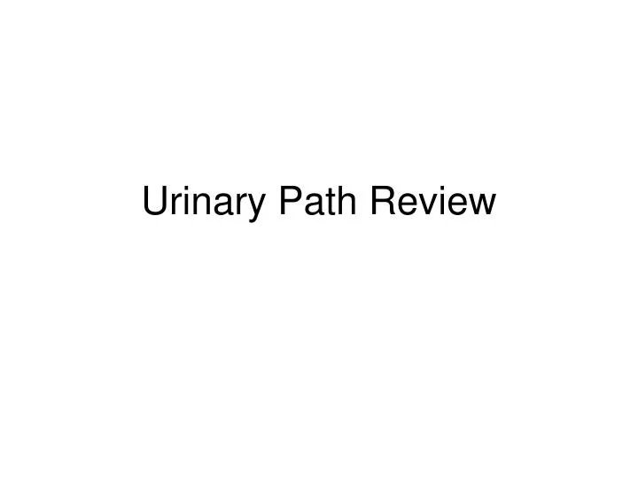 urinary path review