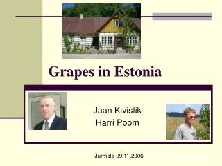 Grapes in Estonia