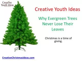 Why Evergreen Trees Never Lose Their Leaves
