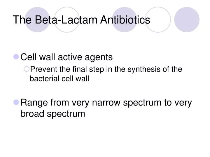 the beta lactam antibiotics