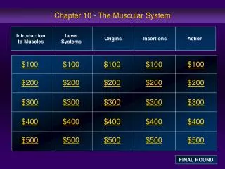Chapter 10 - The Muscular System