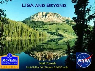 LISA and Beyond