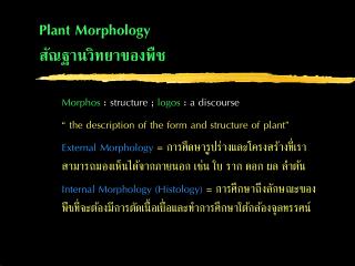 Plant Morphology สัณฐานวิทยาของพืช