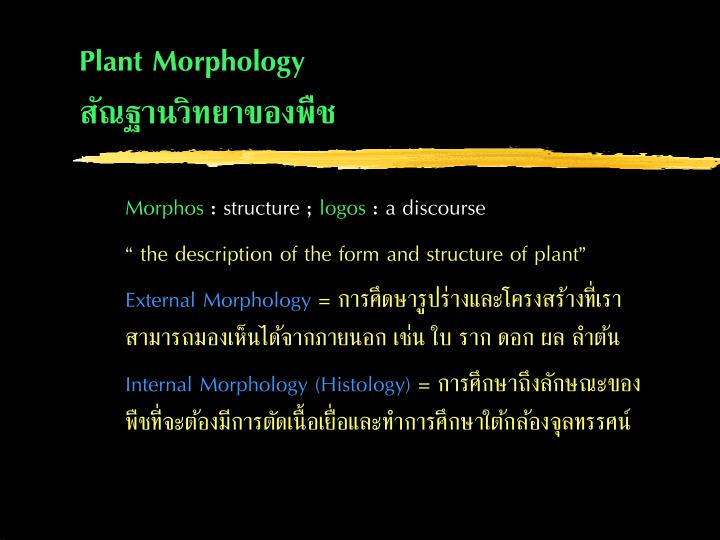 plant morphology