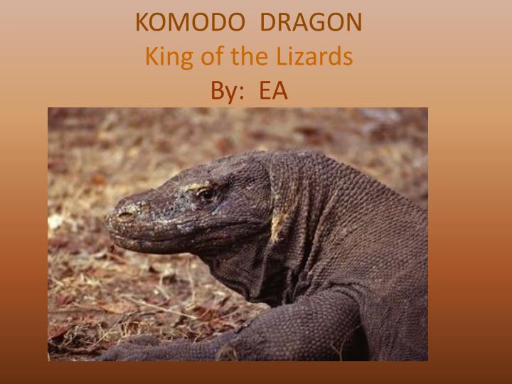 komodo dragon king of the lizards by ea