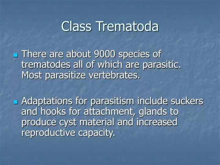 class trematoda