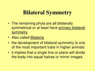 Bilateral Symmetry