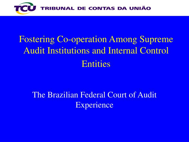 fostering co operation among supreme audit institutions and internal control entities