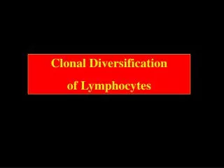 Clonal Diversification of Lymphocytes