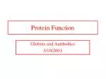 Protein Function - slide 1