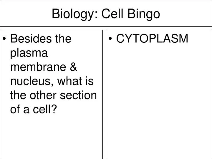 biology cell bingo