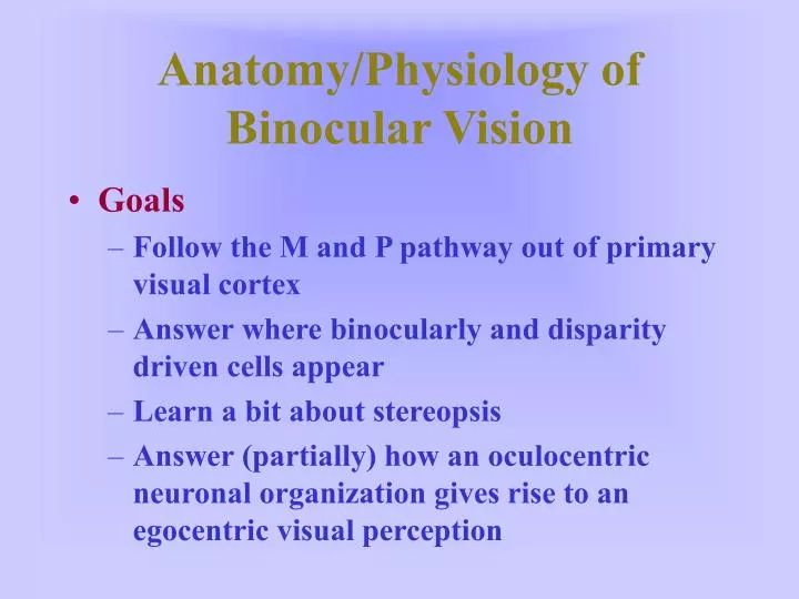 anatomy physiology of binocular vision