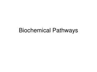 Biochemical Pathways