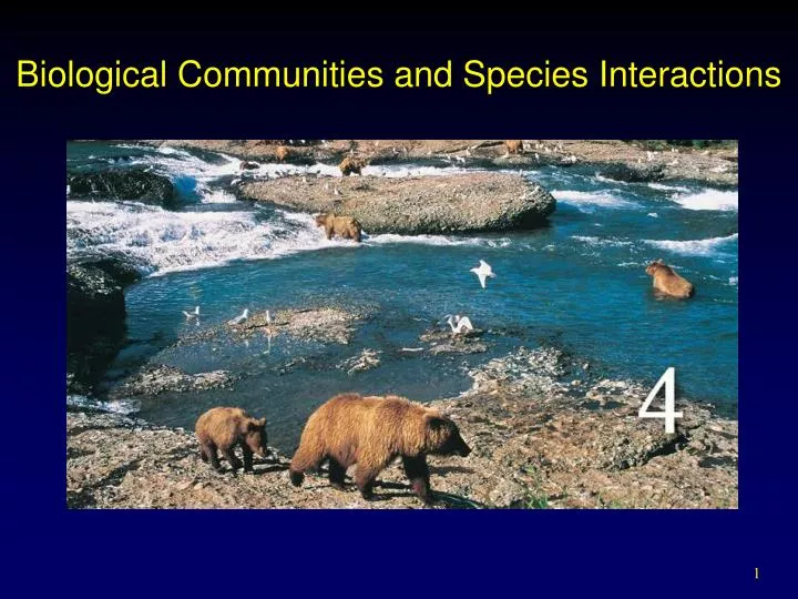 biological communities and species interactions