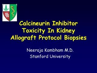 Calcineurin Inhibitor Toxicity In Kidney Allograft Protocol Biopsies