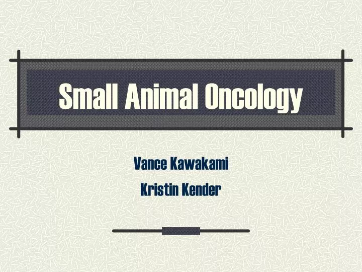 small animal oncology